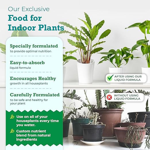 Indoor Plant Food by Houseplant Resource Center - Organic Liquid Fertilizer for Pothos, Peace Lily, Monstera, Cactus and More - 8 oz