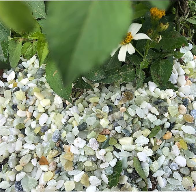 7lb Jade Bean Sand Stone-Succulents and Cactus Bonsai DIY Projects Rocks,Decorative Gravel for Plants and Vases Fillers,Terrarium,Fairy Gardening,Natural Stone Top Dressing for Potted Plants (5mm-8mm)