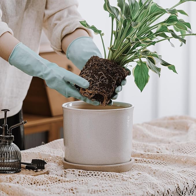 8 Inch Plant Pot: Ceramic Planter with Drainage Hole & Saucer for Indoor Outdoor Plants - Flowerpot with Bonded Tray for Home Office - Retro Style, Grey