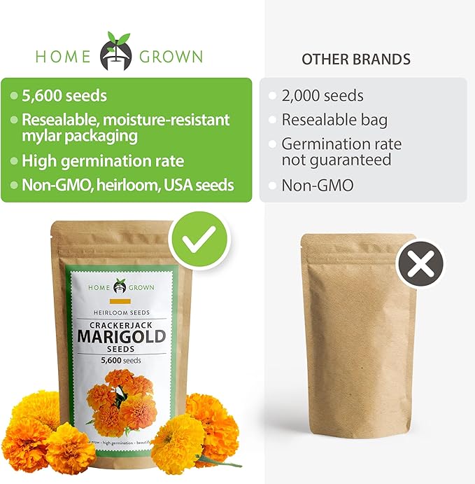 HOME GROWN Marigold Seeds Bulk Mix - 5600+ Crackerjack Marigold Flower Seeds for Planting Outdoors - Flowers Seed for Companion Planting - Wildflower African Marigold Seeds (Tagetes erecta)