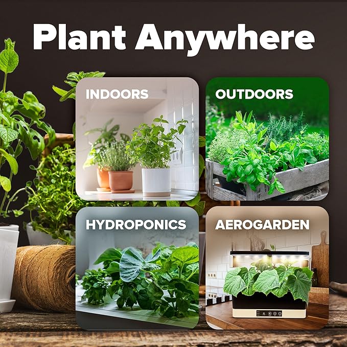 2,000+ Vegetable Seeds for Planting - 10 Heirloom Seeds for Planting Vegetables Indoors or Outdoors: Non-GMO Kale, Lettuce, Tomato, Broccoli, Beans, Peas, Bell Peppers - Home Garden Survival Seeds