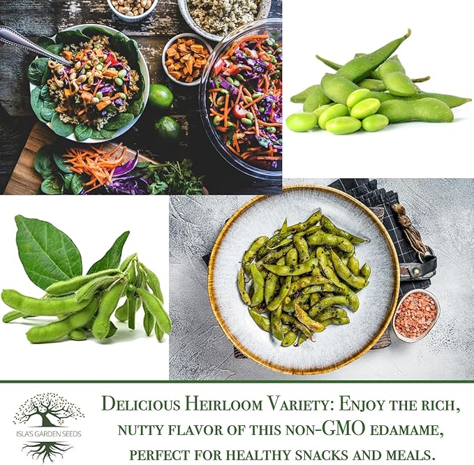 Midori Giant Edamame Seeds for Planting, 25+ Heirloom Seeds Per Packet, (Isla's Garden Seeds), Non GMO Seeds, Botanical Name: Glycine max, Great Home Garden Gift