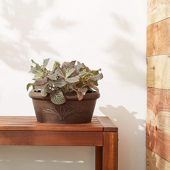 Arcadia Garden Products PSW Pot TA25C Collection Shallow Bulb Pan Planter Dish Low Bowl for Succulents, Bonsai, Fairy Gardens, Herbs, 10-inch, Chocolate