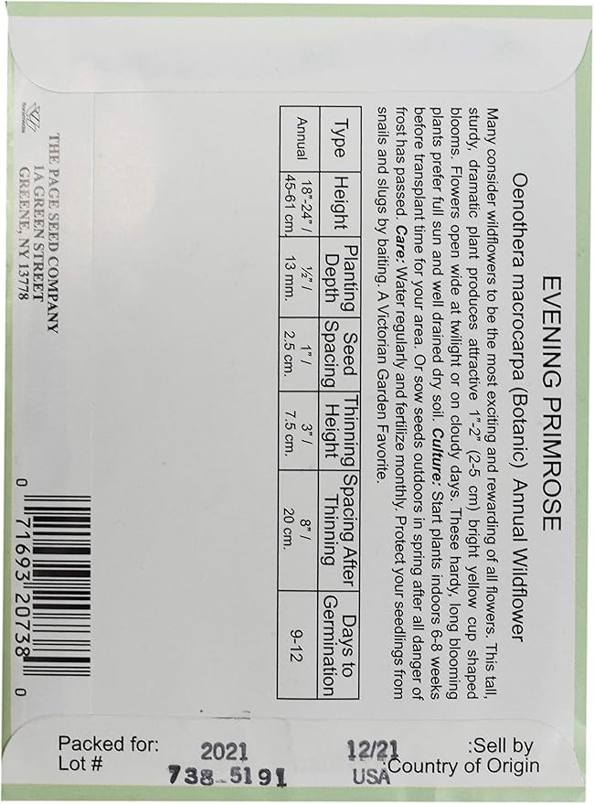 Black Duck Brand Set of 25 Evening Primrose Flower Seed Packets! Flower Seeds in Bulk - Great for Creating The Garden of Your Dreams! (25, Evening Primrose)