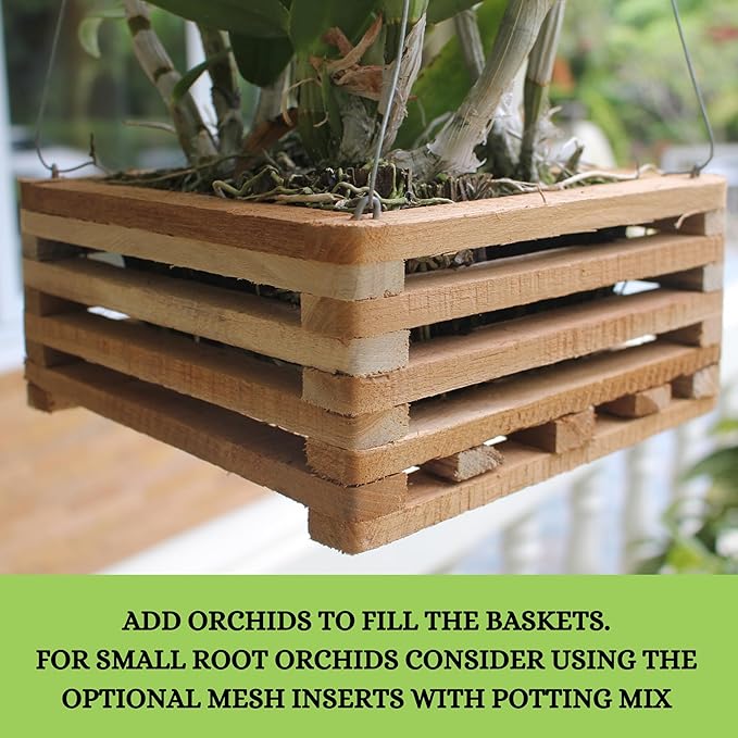 Set of 3 Strong Hanging Orchid Baskets with Hangers, for Orchids, Staghorn Ferns, Handmade Rustic Wood Vanda Baskets, Staghorn Fern Mount
