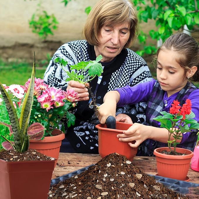 Bonsai Soil Mix Ready to Use (4qt), Premium Fast Draining Organic All Purpose Potting Mix for All Varieties of Bonsai