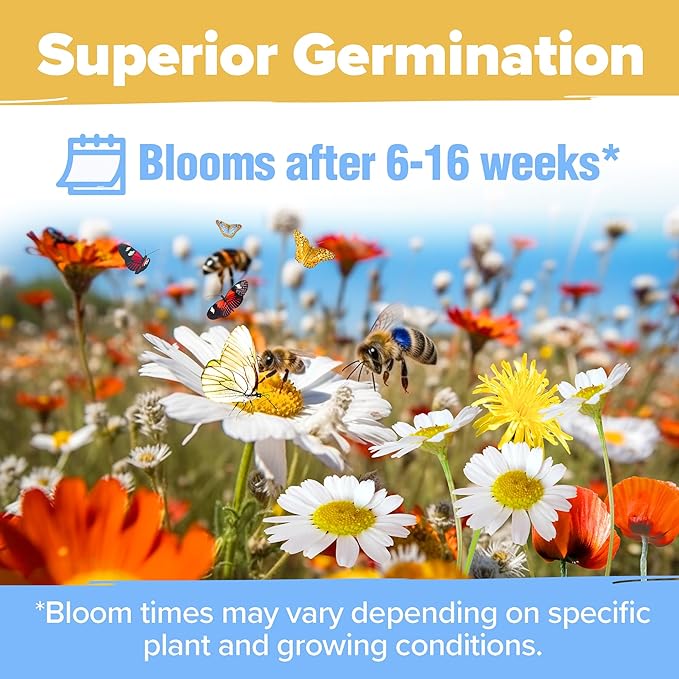 HOME GROWN 90,000+ Wildflower Seeds - Bulk Perennial Wild Flower Seeds Mix - 3oz Flower Garden Seeds for Attracting Bees, Birds & Butterflies - 24 Variety Plant Seeds for Outdoor Garden