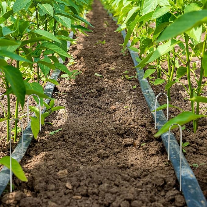 120 Pcs Irrigation Drip Tubing Staples 5 Inch J Shape Irrigation Tube Stakes Galvanized Landscape Pins for 1/4 Inch Irrigation Hose Lawn Nails 1/4 Inch to 1/2 Inch Loop Stake for Drip Tubing