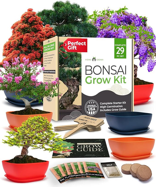 Bonsai Tree Kit - Gifts for Men & Women (Master Kit)