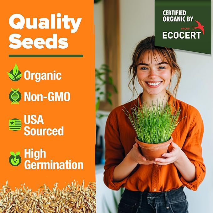 HOME GROWN Organic Cat Grass Seeds Pack 8oz β 7200 π‘π’π‘-ππ π’ π¨π¦π-π¦π’π¨π₯πππ Heirloom Oat & Barley Grass Seeds for Indoor Cats β High Germination Hairball Relief, Pet Grass Ready in 7Days