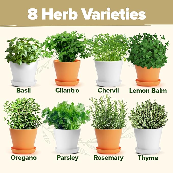 HOME GROWN Deluxe 8 Herb Garden Kit – Birthday Gifts for Women, Unique Gardening Present for Mom, Her, Friend – Easter Gift Gardeners, New Home Housewarming Kitchen Live Plant Starter