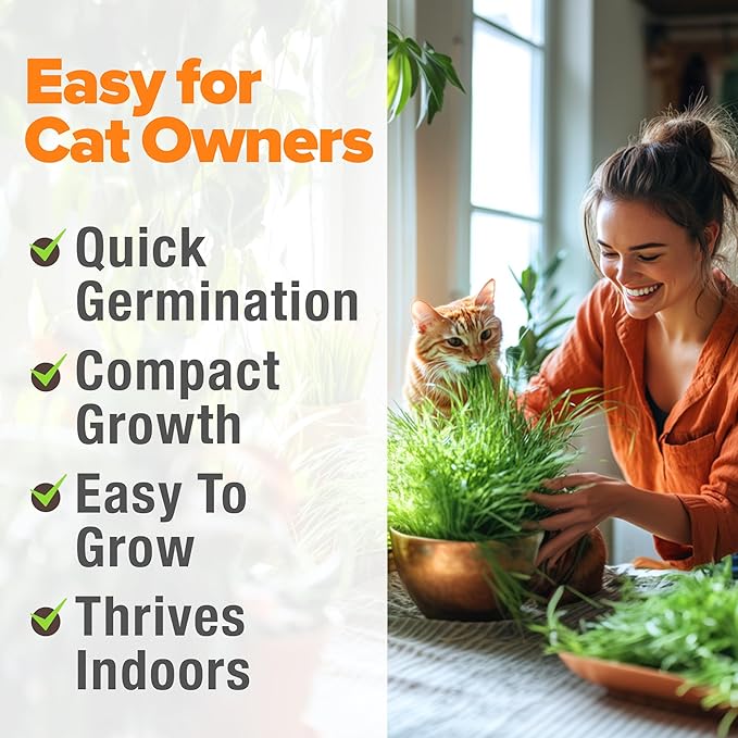 HOME GROWN Organic Cat Grass Seeds Pack 8oz β 7200 π‘π’π‘-ππ π’ π¨π¦π-π¦π’π¨π₯πππ Heirloom Oat & Barley Grass Seeds for Indoor Cats β High Germination Hairball Relief, Pet Grass Ready in 7Days