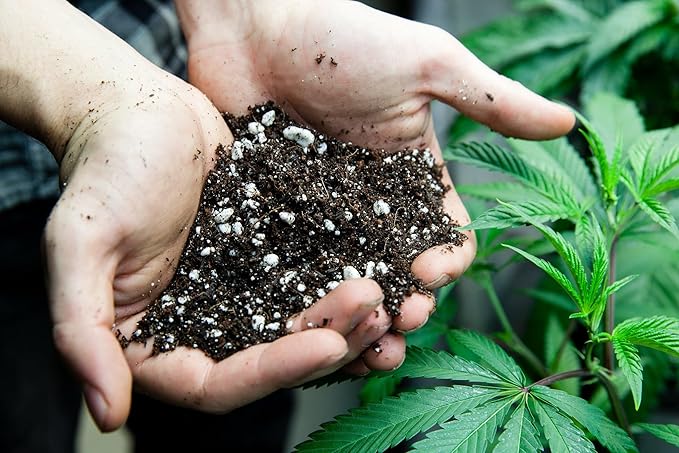 Premium JUST-ADD-Water Potting Soil Mix - Optimal Nutrient-Rich Blend for Thriving and HIGH-Yield Herbal Plants - 5 Quart