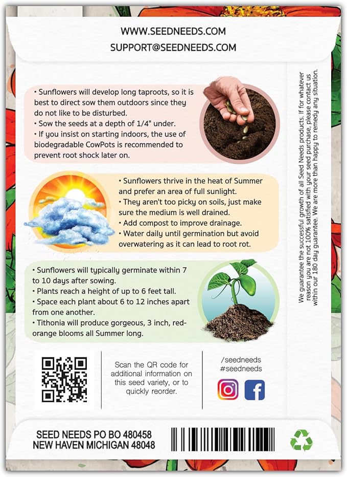 Seed Needs, Mexican Sunflower Seeds - 100 Heirloom Seeds for Planting Tithonia rotundifolia - Annual Wildflower That Attracts Pollinators/Butterflies (2 Packs)