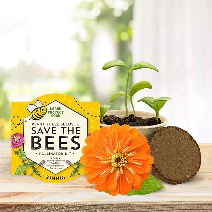 Buzzy Seeds Save The Bees Biodegradable Grow Kit | Herb, Plant, Flower Starter Kit for Kids & Adults | Assorted Wildflowers 12-Pack | Guaranteed to Grow | Best Indoor Grow Your Own Plant
