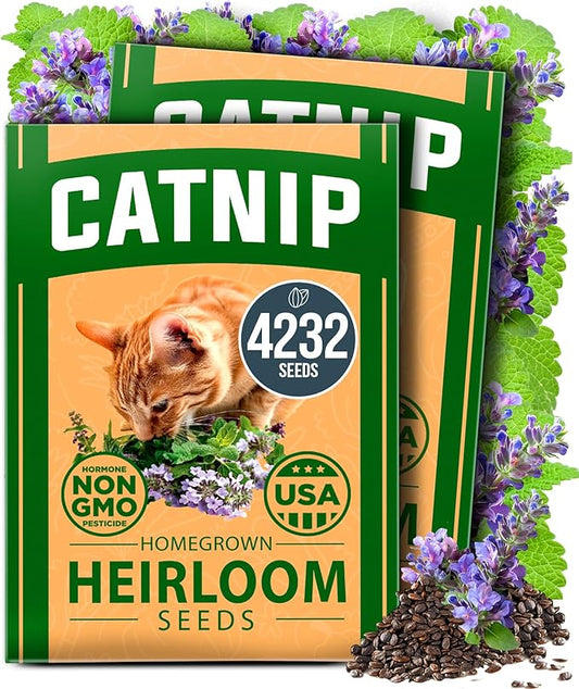 HOME GROWN Catnip Seeds 2 Pack - 4232 Bulk Non-GMO Heirloom Herb Seeds - Indoor or Outdoor Seed - High-Germination Cat Nip - Cat Safe Plants (Nepeta cataria)