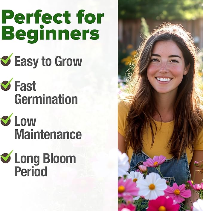 HOME GROWN Cosmos Seeds Bulk Pack (1.8 oz) Annual Flower Seeds for Planting - Heirloom Pollinator Friendly Wildflower Seeds - Grow Cosmo Plant Garden