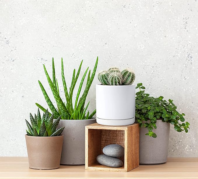 D'vine Dev Set of 2 Plants Pot, 4.6 Inch Ceramic Planter Pot for Plants with Drainage Hole and Saucer, White, 94-V-B-1