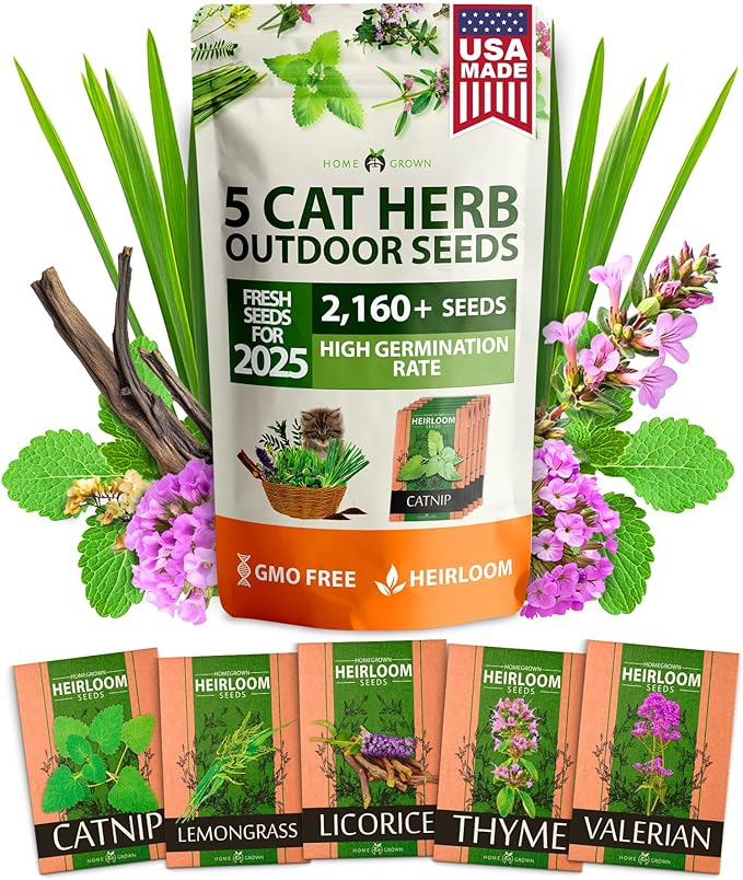 HOME GROWN 2,160+ Cat Plant Seeds Mix β π‘π’π‘-ππ π’ π¨π¦π-π¦π’π¨π₯πππ Heirloom Catnip, Lemongrass, Licorice, Thyme & Valerian β Pet-Friendly Indoor Garden Refill Kit for Cats & Kittens