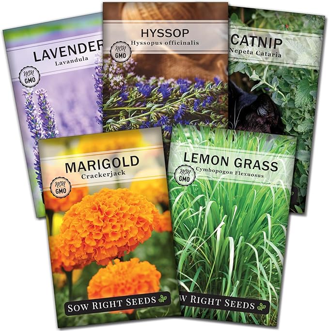 Sow Right Seeds - Pest Deterrent Seed Collection for Planting - Lavender, Catnip, Marigold, Hyssop & Lemon Grass - 5 Packets with Instructions for Home Garden - Natural Solution