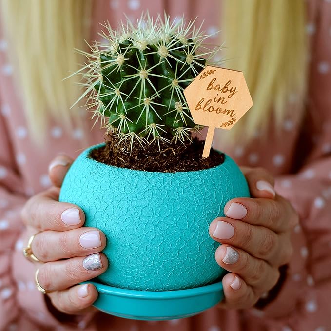 Baby in Bloom Succulent Tags Baby Shower Favors Gifts, PARBEE 20PCS Hexagon Plant Stakes Labels Gift Wooden Garden Stakes Succulent Plant Markers
