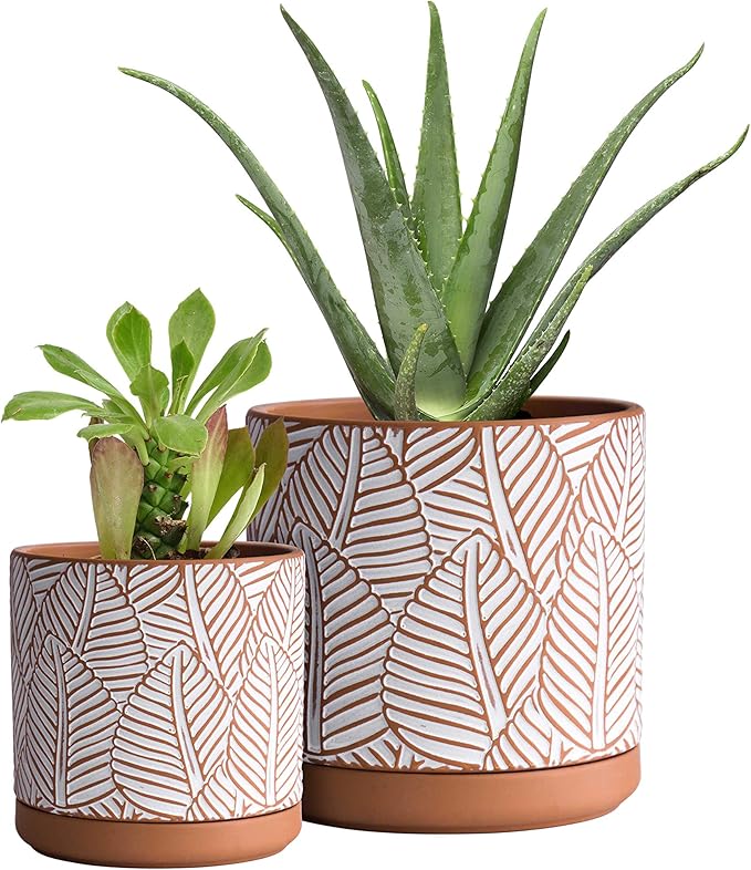 D'vine Dev Set of 2 Terracotta Pots, Broadleaf Pattern Planter Pot, 4 Inch and 6 Inch, Pot with Drainage Hole and Saucer, Terracotta/White, 31-958-H-1