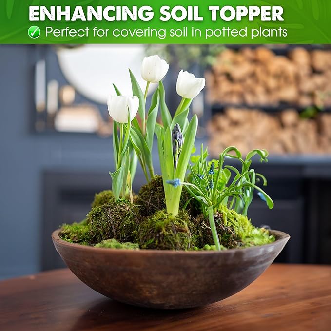 DUSPRO Dried Moss for Potted Plants, Forest Orchid Moss for Potting Mix, Sphagnum Potting Moss for Plants Indoor, Real Moss Soil Cover for Houseplant (2.1 LBS)