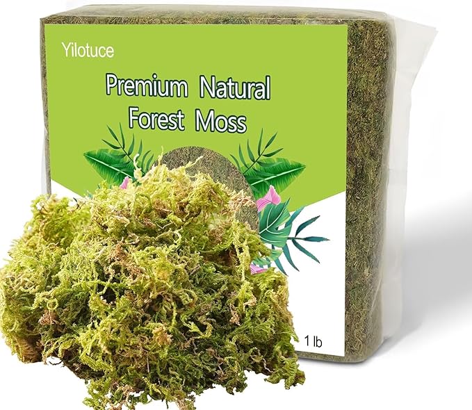 1 lb Natural Orchid Moss for Potted Plants, Nice Soilless Potting Soil for Seedling and Cutting, Good Idea for Reptile Terrarium, Crafts, Garden Decoration