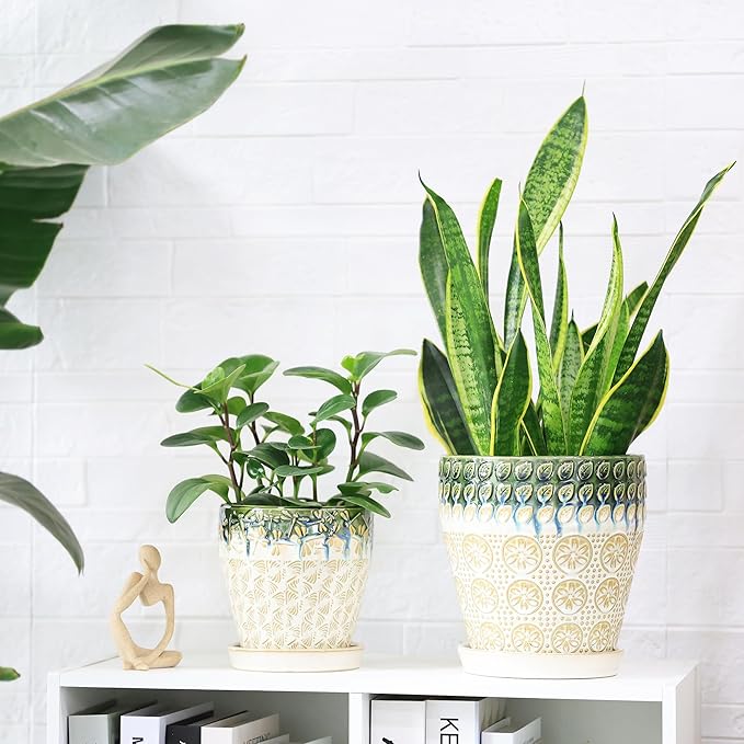 Ceramic Planter Pots for Indoor Plants, 8Inch + 6 Inch Plant Pot with Drainage Holes, Saucers and Mesh Pads, Succulent Orchid Flower Pot -Set of 2