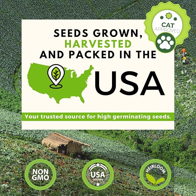 HOME GROWN 3200+ Cat Grass β π‘π’π‘-ππ π’ π¨π¦π Grown Catnip, Alfalfa, Oat, Cat Grass Mix β Indoor Cat Grass Kit Refill β High-Germination Pet Grass for Hairball Relief & Digestion