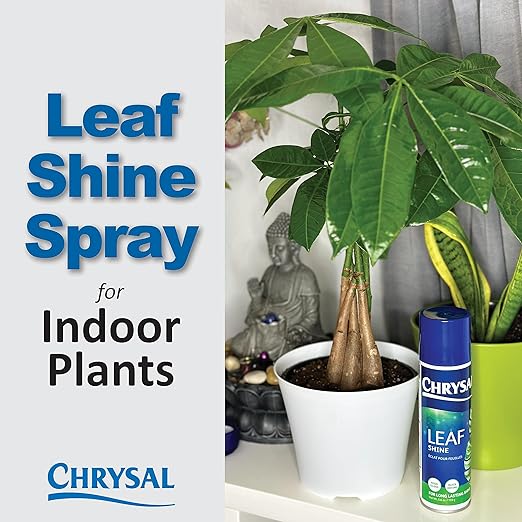 Chrysal LeafShine Spray for Indoor Plants - 5.6 oz