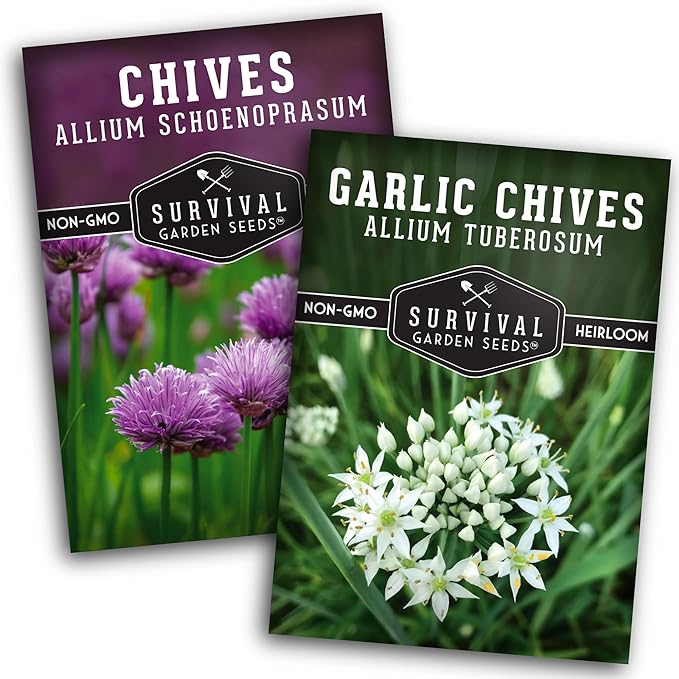 Survival Garden Seeds Chive Seed Collection - Common & Garlic Chives – 2 Packets of Non-GMO Heirloom Open-Pollinated Herb Seed Varieties to Plant in Your Vegetable Garden – Seed Saver Instructions