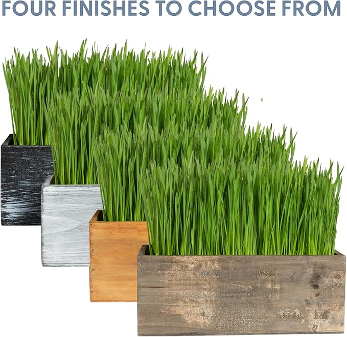 The Cat Ladies Cat Grass Kit with Black Rustic Wooden Planter, Organic Cat Grass Seeds and Soil. Easy to Grow Cat Grass for Indoor Cats. Prevent Hairballs and Aid Digestion
