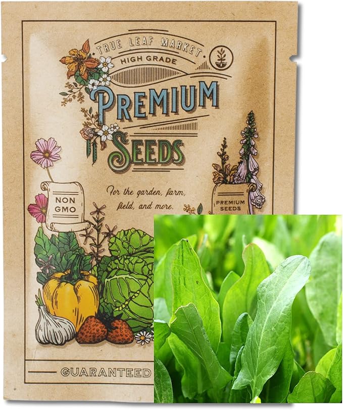 Large Leaf Sorrel Herb Seeds for Planting - 1 Gram 500+ Seeds - Non-GMO, Heirloom - Culinary Sorrel Herb Plant Seeds - Home Garden Herb Seeds - Sealed in a Beautiful Mylar Package