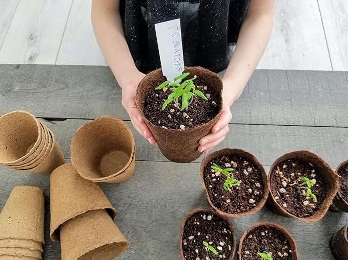 Daniel's Plants 4" Naked Pots | Large Natural Plantable Seed Starter Pots | OMRI-Listed Biodegradable Pots for Seedlings | Enhanced Aeration | Earth Freindly - Peat Free | 10 Pack 4 Inch Round