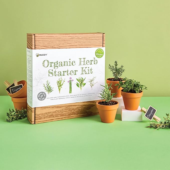 Buzzy 9 Large Terracotta Pot Organic Herb Garden Gift Box, Best Present for Gardeners - Mother's Day or Easter Plant Gift for Mom - Rosemary, Basil and Other Seeds Included in The Indoor Planter kit.