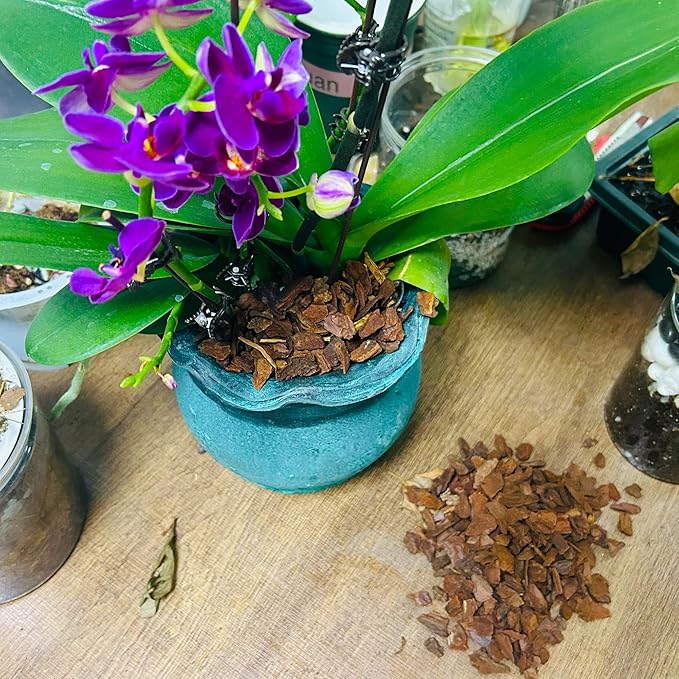 18qt Orchid Bark Horticultural Grade- Ideal for Phalaenopsis, Epiphytic Orchids, and Other Plants Potting, Repotting, Root Development, and Water Retention