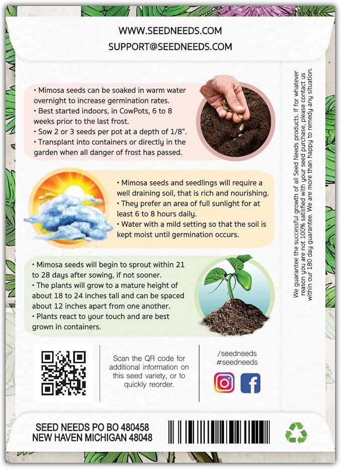 Seed Needs Sensitive Plant Seeds for Planting Mimosa pudica - Heirloom & Open Pollinated Annual Flowers - Pink Blooms with Leaves That React to Touch (2 Packs)