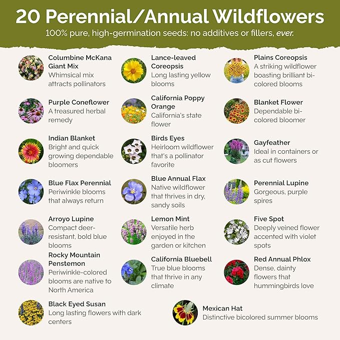 Eden Brothers North American Native Wildflower Mixed Seeds for Planting, 1/4 lb, 120,000+ Seeds with Birds Eyes, Lupine | Attracts Pollinators, Plant in Spring or Fall, Zones 3, 4, 5, 6, 7, 8, 9, 10