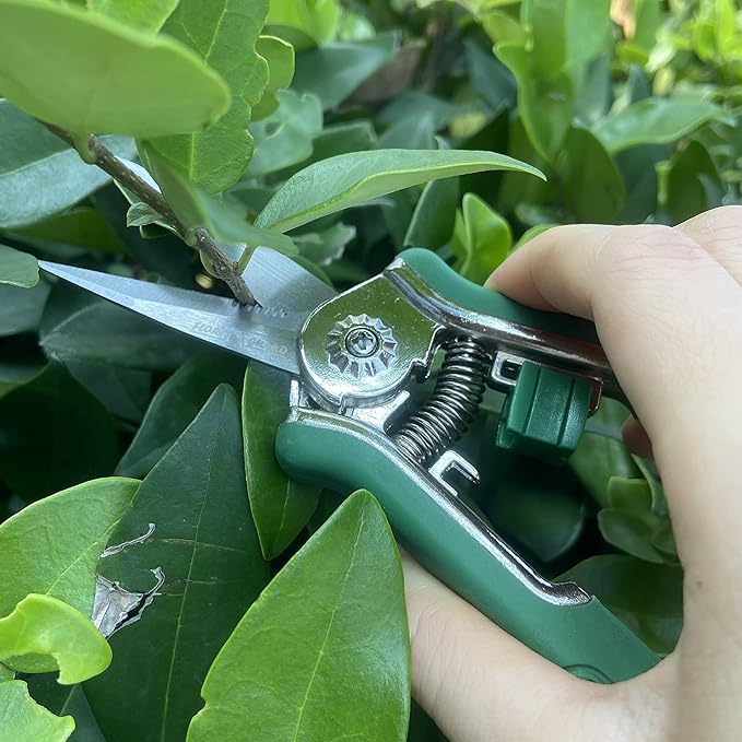 FLORA GUARD 6.5 Inch Micro-Tip Pruning snip Gardening Hand Pruning Shears Trimming Scissors with Stainless Steel(Green)