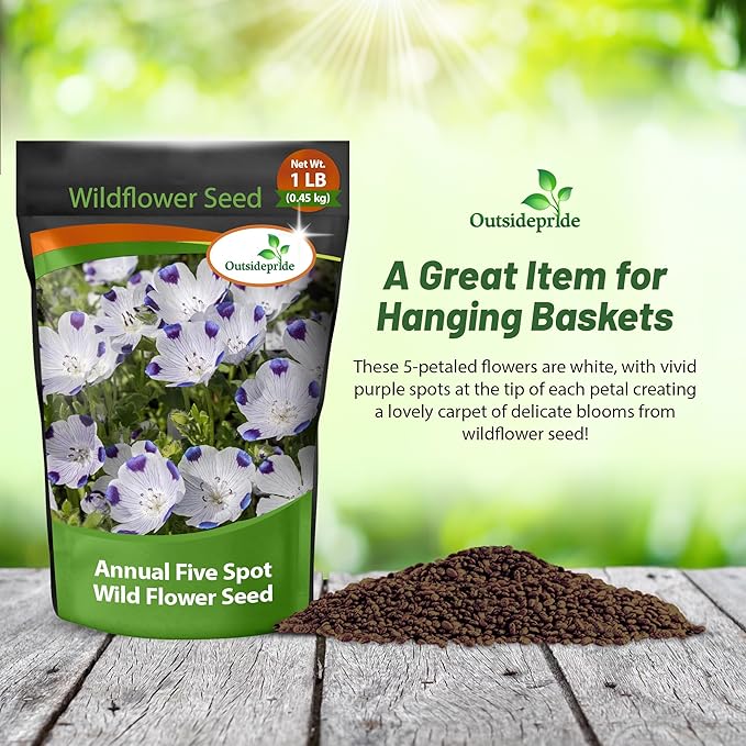 Outsidepride 1 lb. Annual Nemophila Five Spot Wild Flower Seeds for Planting