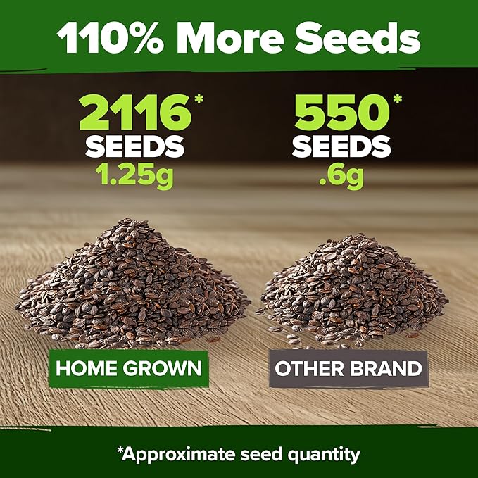 HOME GROWN Catnip Seeds (Bulk Pack) Non-GMO Heirloom Herb Seeds - Indoor or Outdoor Seed - High-Germination Cat Nip - Cat Safe Plants (Nepeta cataria)