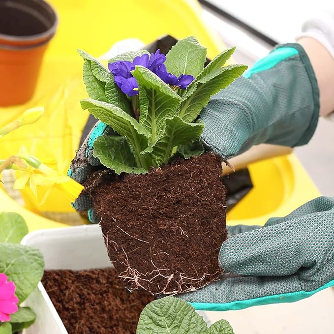 ZeeDix 100pcs 50mm Coco Coir Pellets, Compressed Coconut Coir Seed Starter Soil Pellets Potting Soil Indoor Plants Soil Discs for Planting Flowers Bonsai Herbs Plants and Vegetables