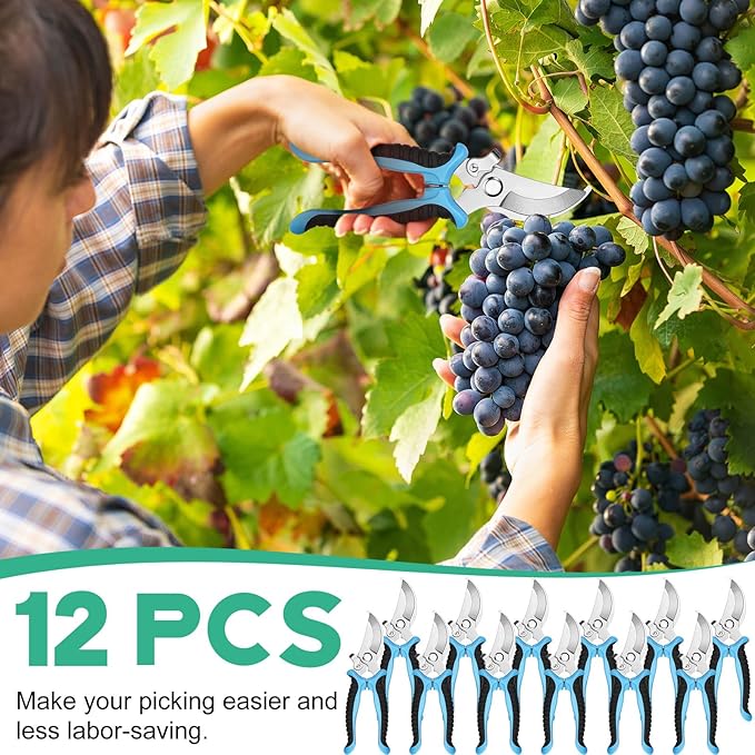 Lothee 12 Pcs Pruning Shears Bulk for Gardening Flower Shears, Floral Scissors 7.5 Inch Bypass Garden Hand Shears Clippers for Cutting Flowers, Trimming Plants Heavy Duty Garden Tools(Blue)