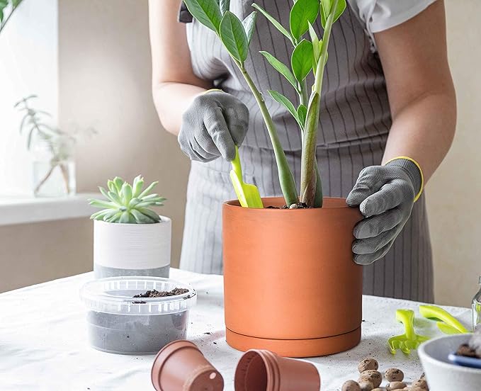 D'vine Dev Medium 8 Inch Terracotta Plant Pot with Drainage Hole and Saucer, Round Cylinder Planter Pot for Indoor Plants, 40-X-A-4