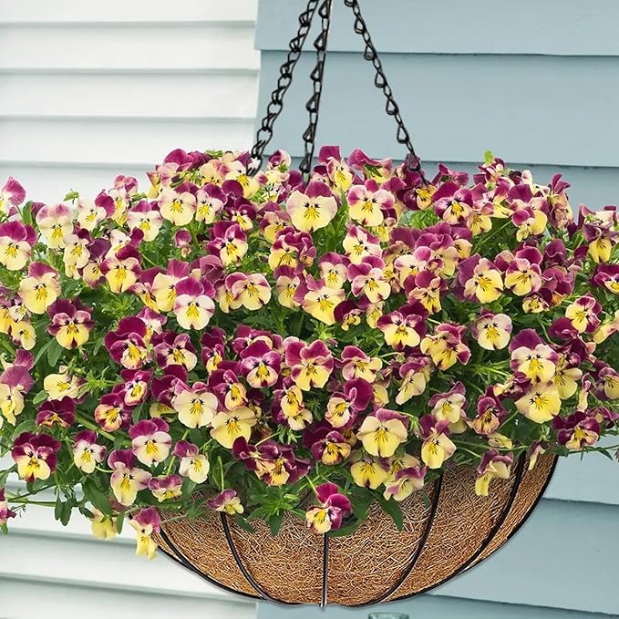 ZeeDix 2 Pack 16 Inch Metal Round Hanging Planter Basket with Coconut Liners Replacement, Hanging planters Baskets with Natural Coco Liner for Outdoor Indoor Planters Flowers Vegetables