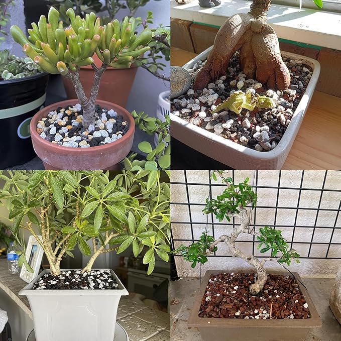 Organic Pumice for Bonsai and Horticultural 100% Natural- (1 gallons, 1/4 inch)