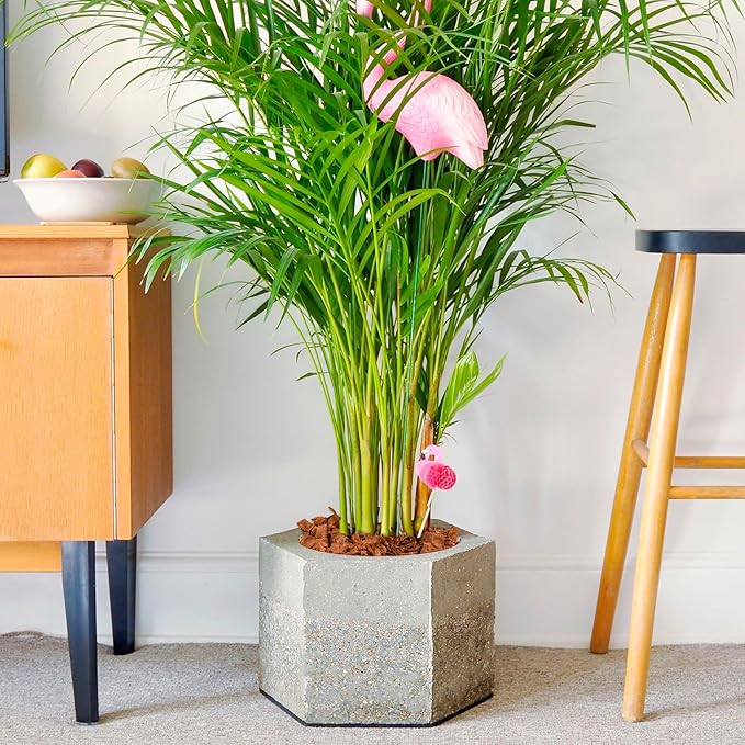 Halatool 10LB Compressed Coconut Coir Chips, 100% Natural Organic Coco Husk Chips Coco Chips Substrate for Plants Flowers, Garden