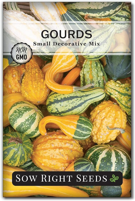 Sow Right Seeds - Decorative Small Gourds Mix Seed for Planting - Non-GMO Heirloom Packet with Instructions to Plant & Grow an Outdoor Home Vegetable Garden - Fun, Colorful and Unique Squash (1)