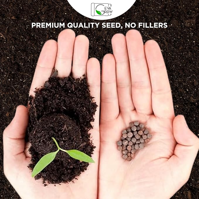 on The Go Seed Shaker - Midwest Wildflower Seeds Regional Mix - Organic, Non-GMO - 100% Pure Seed - 21 Different Wildflowers Seeds of Annual and Perennial, 8oz
